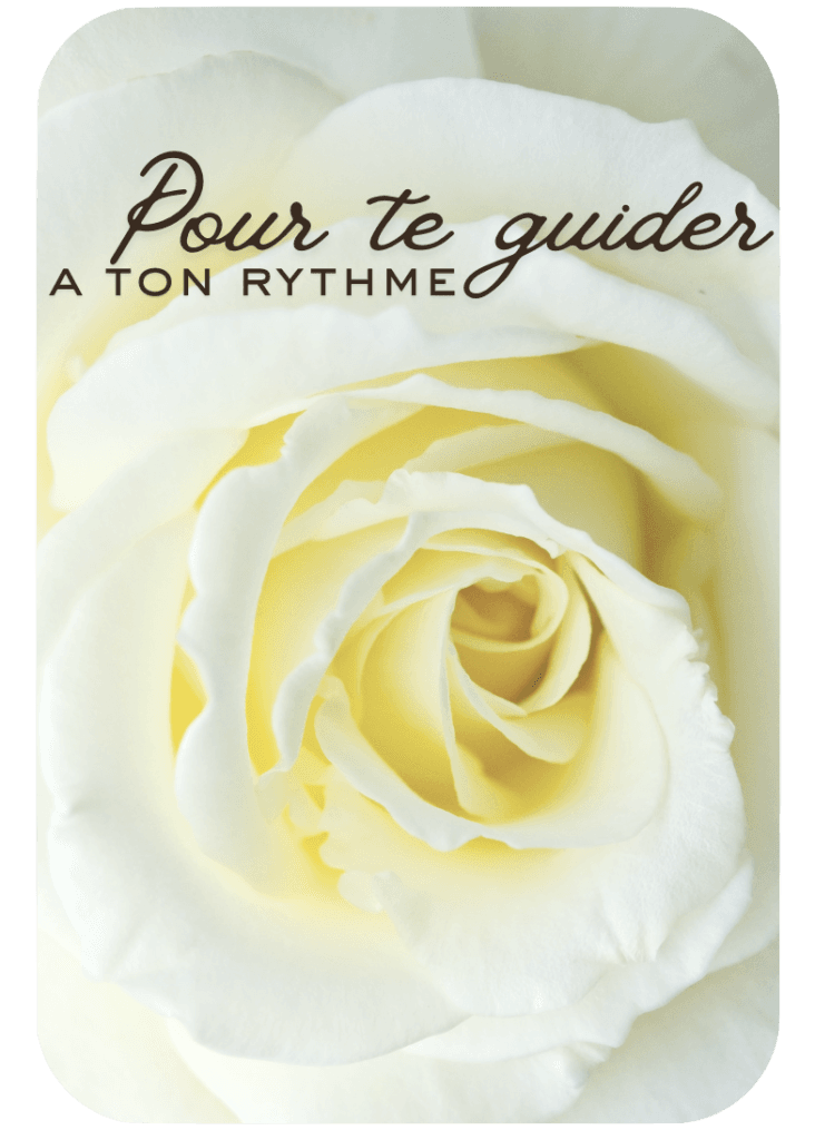 Douceur diete de la rose - initiartique by marilyne
