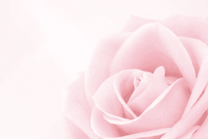 diète de la rose - initiartique - pagat marilyne